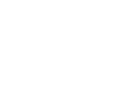 FOX logo